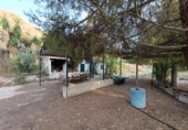 Casa de camp amb terreny en venda a la España, Elx, ref.: TR246887 foto