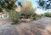 Casa de camp amb terreny en venda a la España, Elx, ref.: TR246887 foto