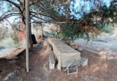 Casa de camp amb terreny en venda a la España, Elx, ref.: TR246887 foto