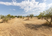 Non-developable land for sale on España, Moraleda de Zafayona, ref: TR278554 photo