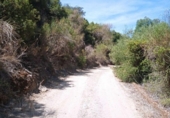 Xalet independent amb terreny en venda a la España, Morón de la Frontera, ref.: TR152907 foto