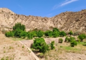 Land suitable for development for sale on España, Almeria, ref: TR336261 photo