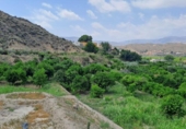 Land suitable for development for sale on España, Almeria, ref: TR336261 photo