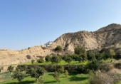 Land suitable for development for sale on España, Almeria, ref: TR336261 photo