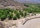 Land suitable for development for sale on España, Almeria, ref: TR336261 photo