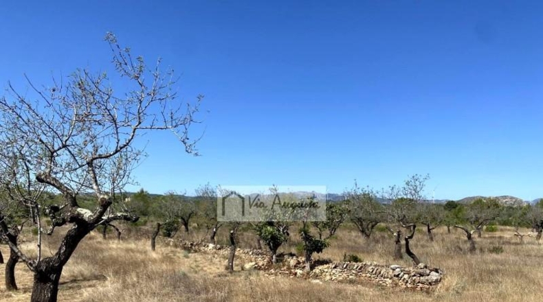 Tarragona - el Perelló - 34738m2