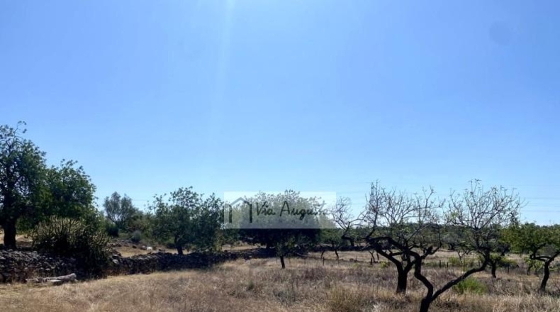 Tarragona - el Perelló - 34738m2