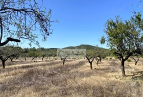 el Perelló 34738&nbsp;м²