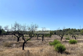 el Perelló 34738&nbsp;м²