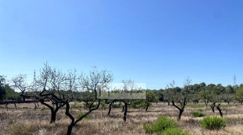 Tarragona - el Perelló - 34738m2