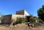 Terreny no urbanitzable en venda a la España, el Perelló, ref.: TR318078 foto