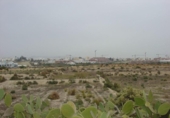Terreny no urbanitzable en venda a la España, Media Legua, ref.: TR364066 foto