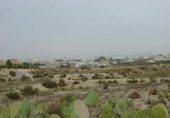 Terreny no urbanitzable en venda a la España, Media Legua, ref.: TR364066 foto