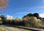 Sòl urbà en venda a la España, A Cruz de Oleiros, ref.: TR364495 foto