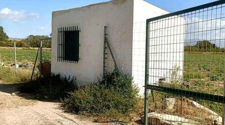 Малага - Малага - 9500m2