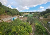 Terreny no urbanitzable en venda a la España, Los Barrios, ref.: TR352059 foto