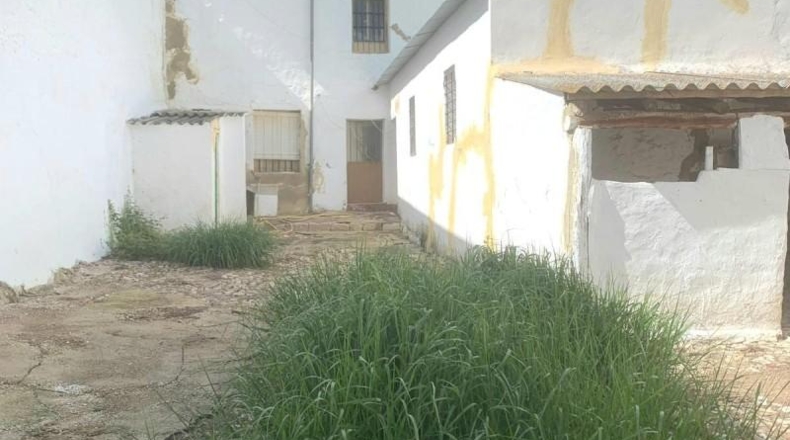 Malaga - Serrato - 250m2
