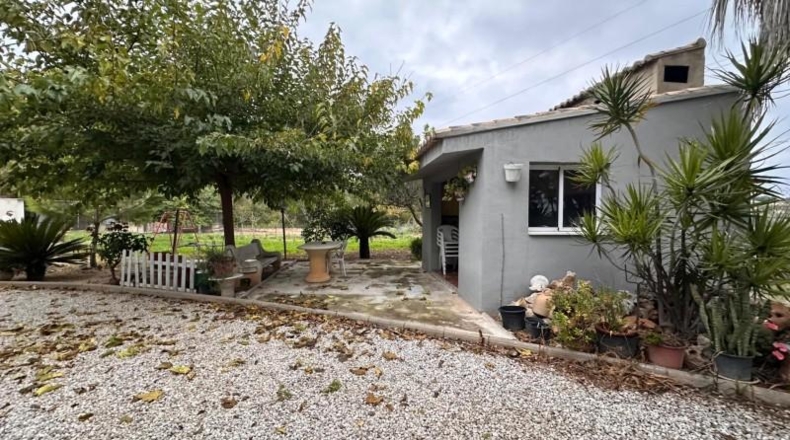 Valencia - Guadassuar - 2116m2