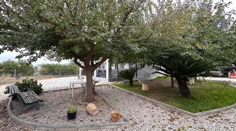 Valencia - Guadassuar - 2116m2