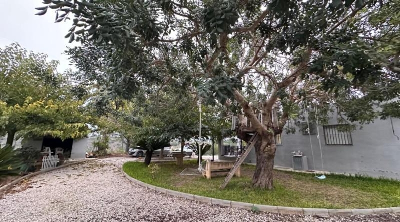 Valencia - Guadassuar - 2116m2