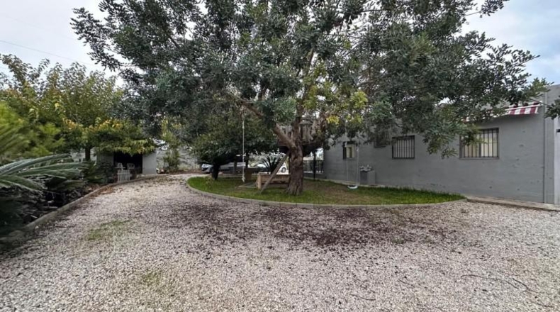 Valencia - Guadassuar - 2116m2