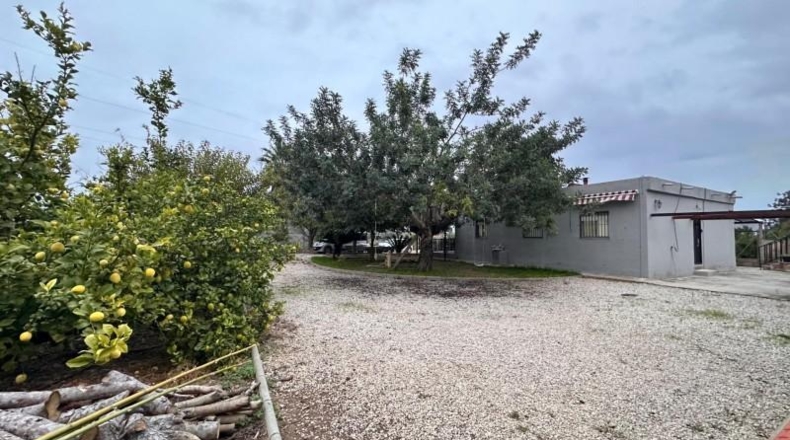 Valencia - Guadassuar - 2116m2