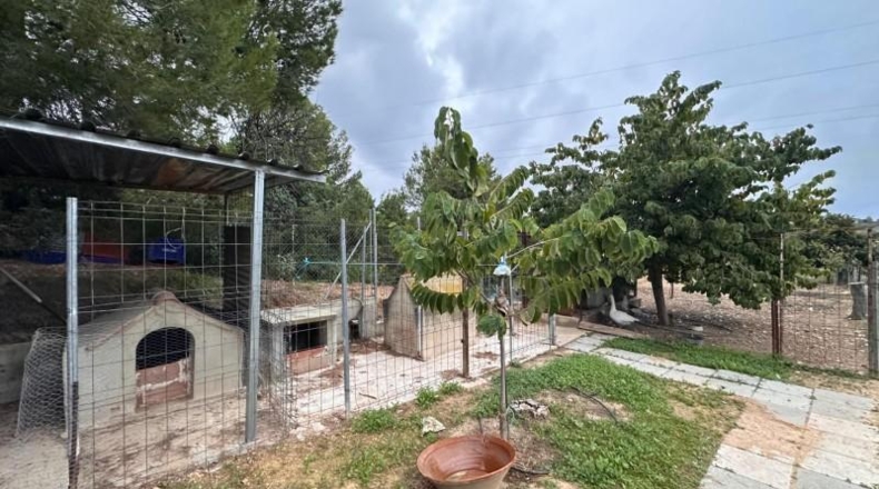 Valencia - Guadassuar - 2116m2