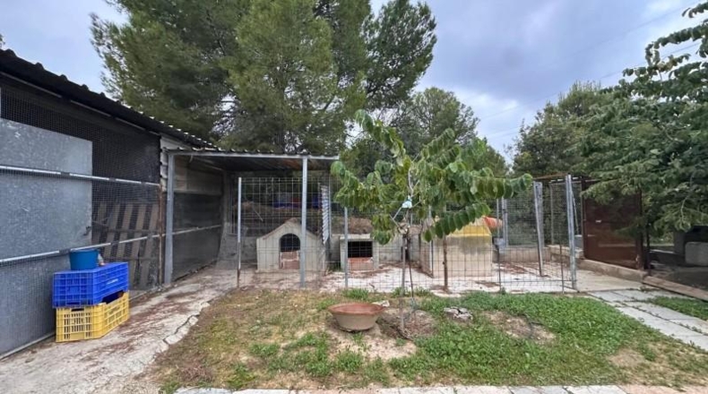 Valencia - Guadassuar - 2116m2