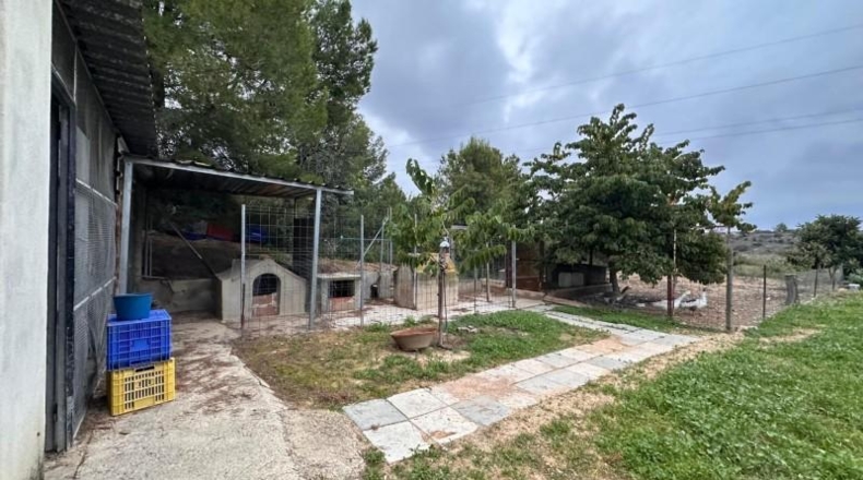 Valencia - Guadassuar - 2116m2