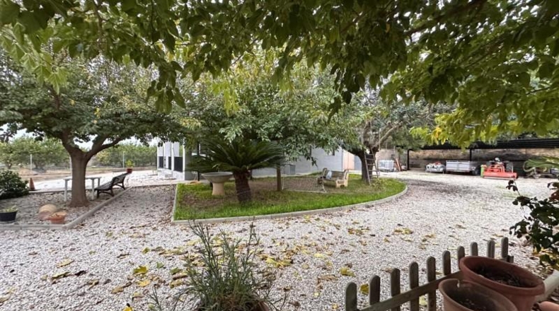 Valencia - Guadassuar - 2116m2