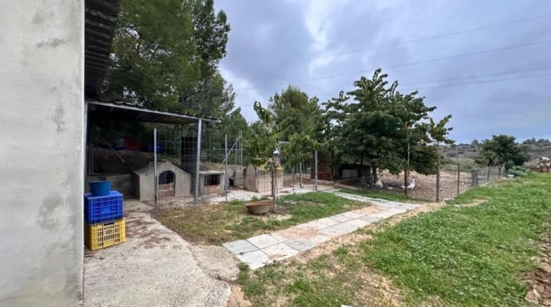 Valencia - Guadassuar - 2116m2