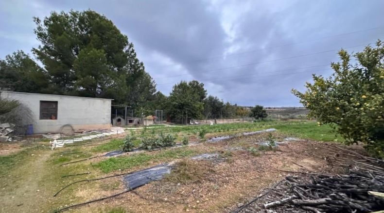 Valencia - Guadassuar - 2116m2