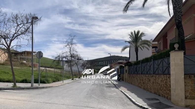 Córdoba - Lucena - 280m2