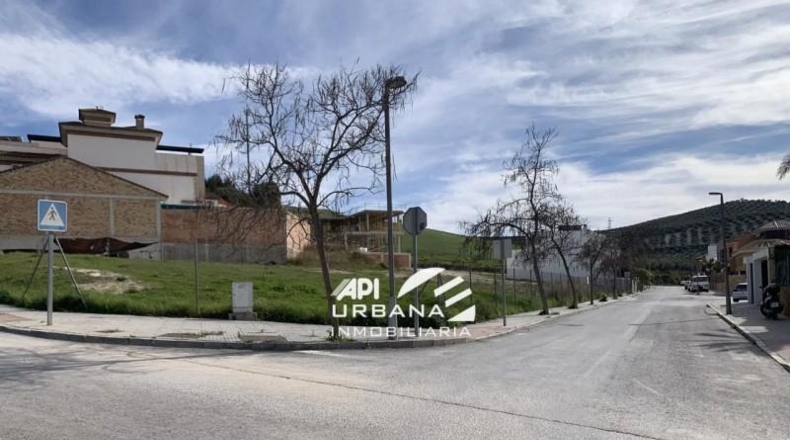 Córdoba - Lucena - 280m2
