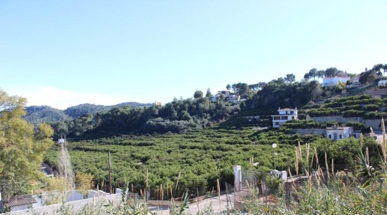 Valencia - Alcira - 1000m2