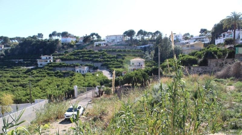 Valencia - Alcira - 1000m2