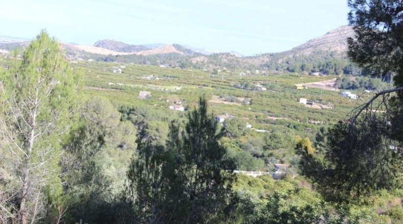 Valencia - Alcira - 1000m2