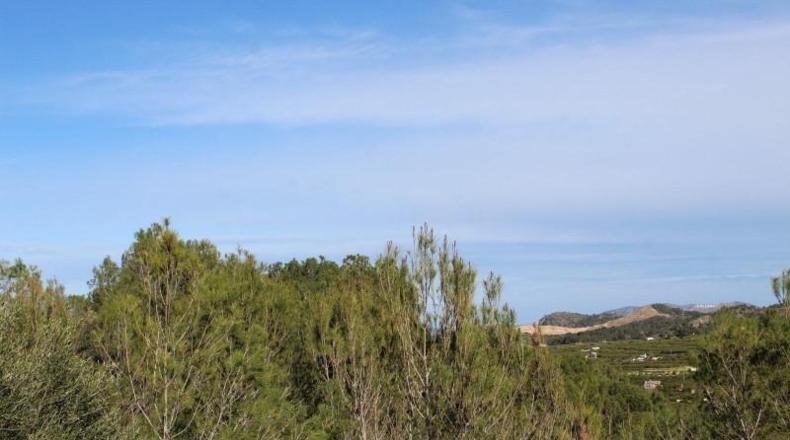 Valencia - Alcira - 1000m2