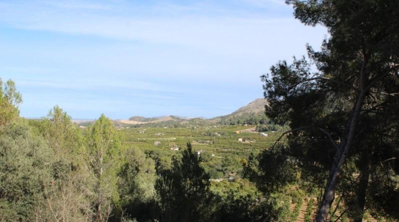 Valencia - Alcira - 1000m2