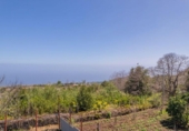 Terreno no urbanizable en venta en la España, San Pedro de Breña Alta, ref: TR129363 foto