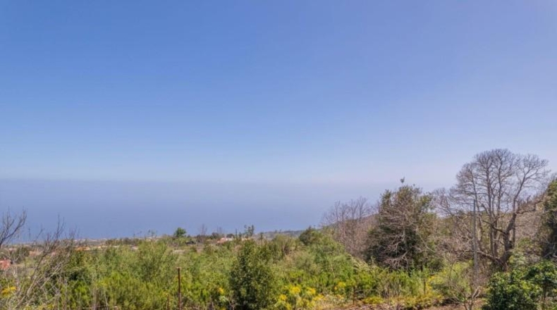 Santa Cruz de Tenerife - Miranda - 2393m2