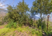 Terreno no urbanizable en venta en la España, San Pedro de Breña Alta, ref: TR129363 foto
