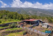 Terreno no urbanizable en venta en la España, San Pedro de Breña Alta, ref: TR129363 foto