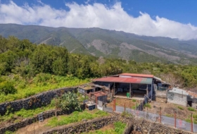 San Pedro de Breña Alta 2393&nbsp;m² 