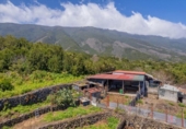 Terreno no urbanizable en venta en la España, San Pedro de Breña Alta, ref: TR129363 foto