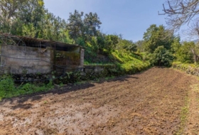 San Pedro de Breña Alta 2393&nbsp;m² 