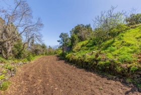 San Pedro de Breña Alta 2393&nbsp;m² 