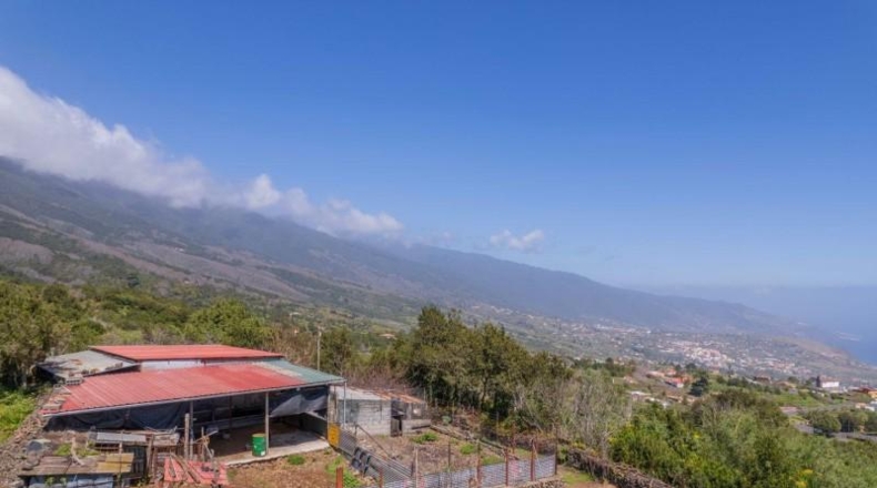 Santa Cruz de Tenerife - Miranda - 2393m2