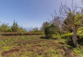 Terreno no urbanizable en venta en la España, San Pedro de Breña Alta, ref: TR129363 foto