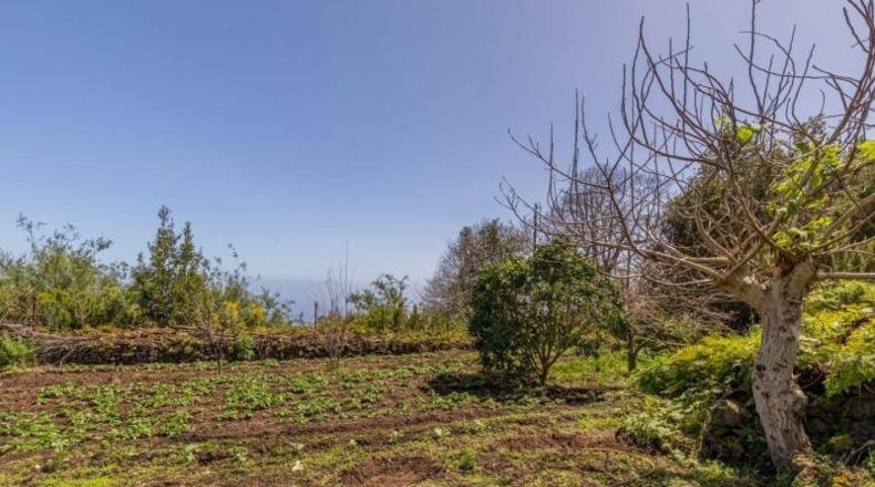 Santa Cruz de Tenerife - Miranda - 2393m2